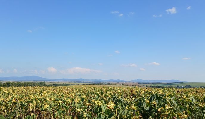 Foto 1 de la ruta de Bikemap "Topoľčianska do Nábrežie Justusa Jána Torkosa" Foto 1 de la ruta de Bikemap "Topoľčianska do Nábrežie Justusa Jána Torkosa"