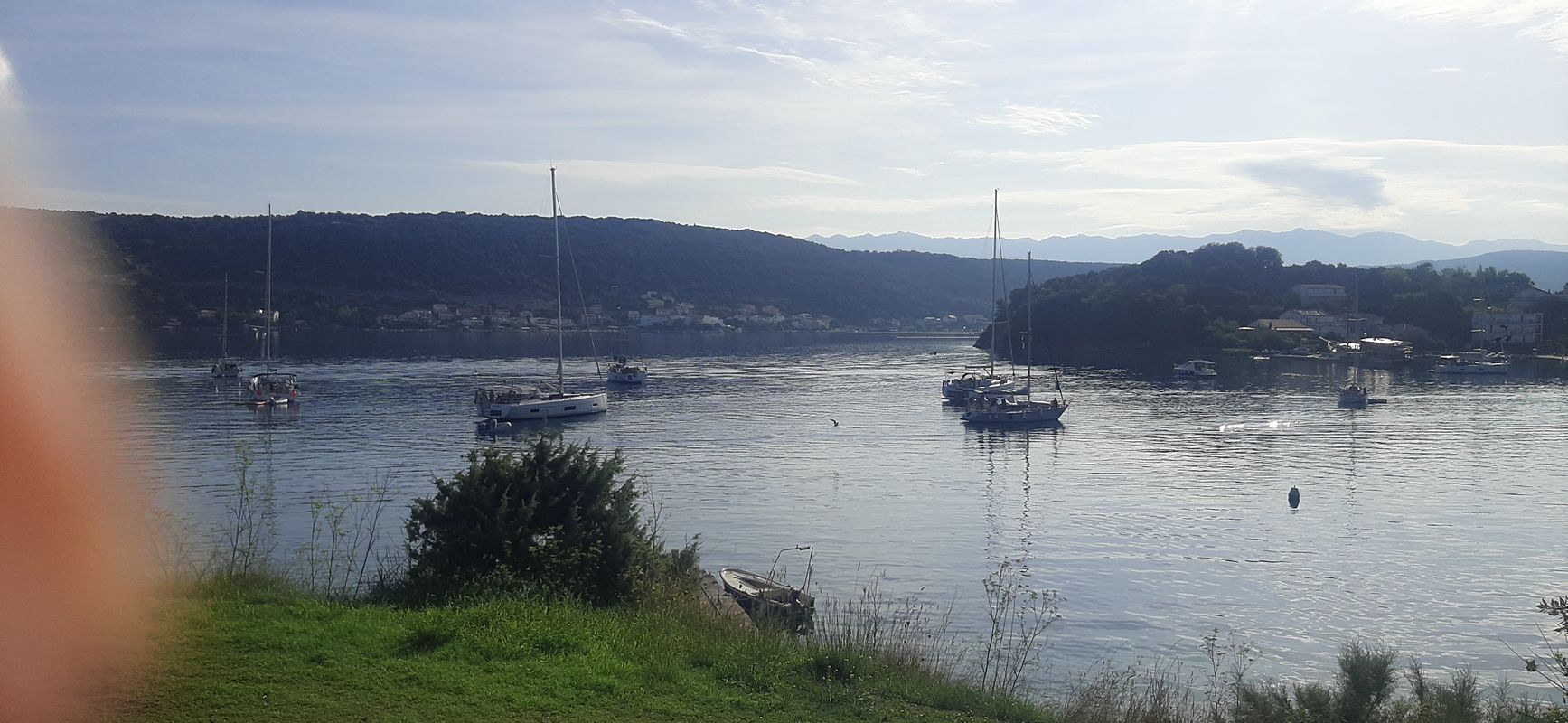 Carolina, kampor, rab