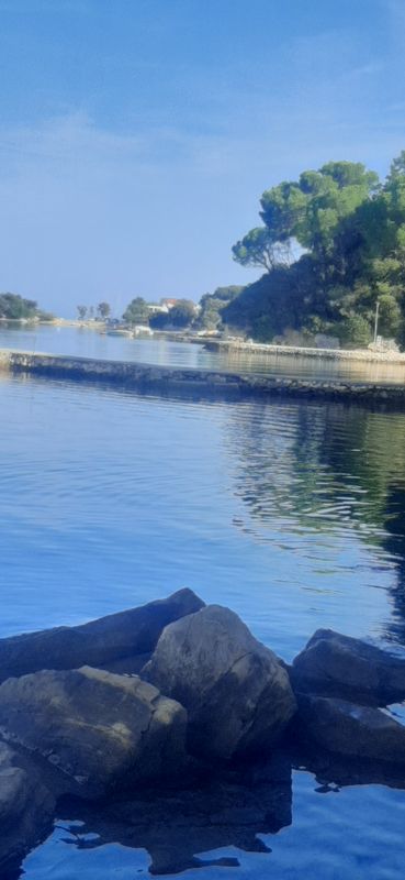 Carolina, kampor, rab