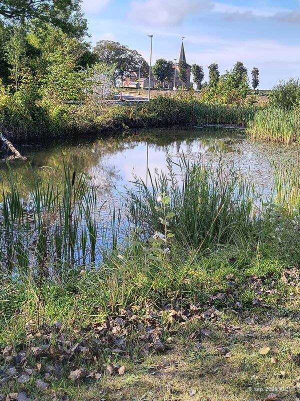 Route to Bekkasinvej