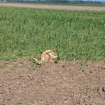 Foto 8 der Bikemap-Route "Nepretržitá jazda"