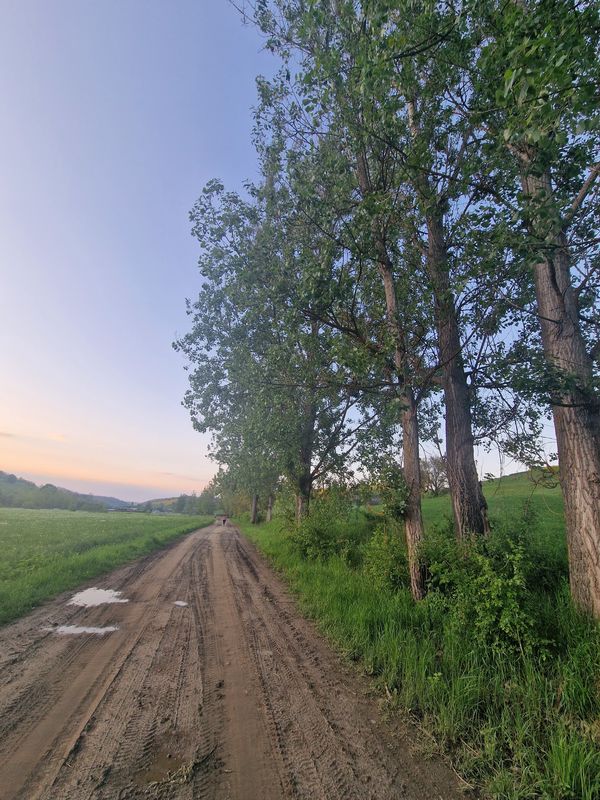 Ațel - Dupuș - Biertan - Richiș - Ațel