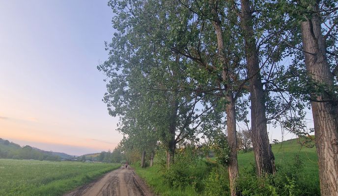 Foto 1 de la ruta de Bikemap "Ațel - Dupuș - Biertan - Richiș - Ațel"