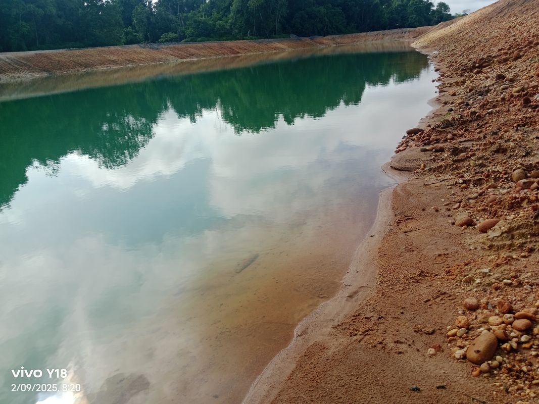 sabana vía los pinos