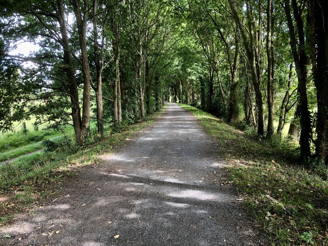 Ducey-Les Chéris - Saint-Hilaire-du-Harcouët