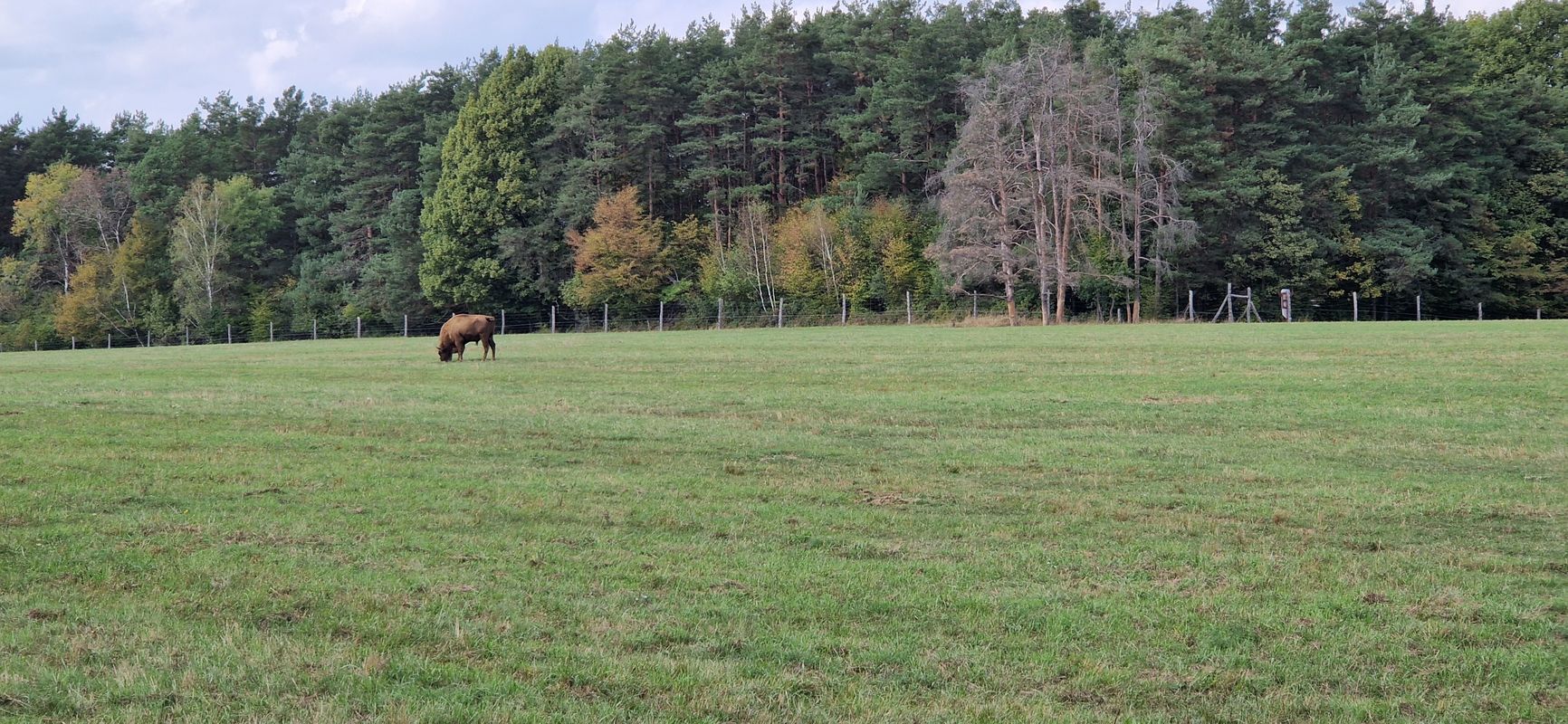 Šalovci to Városszer
