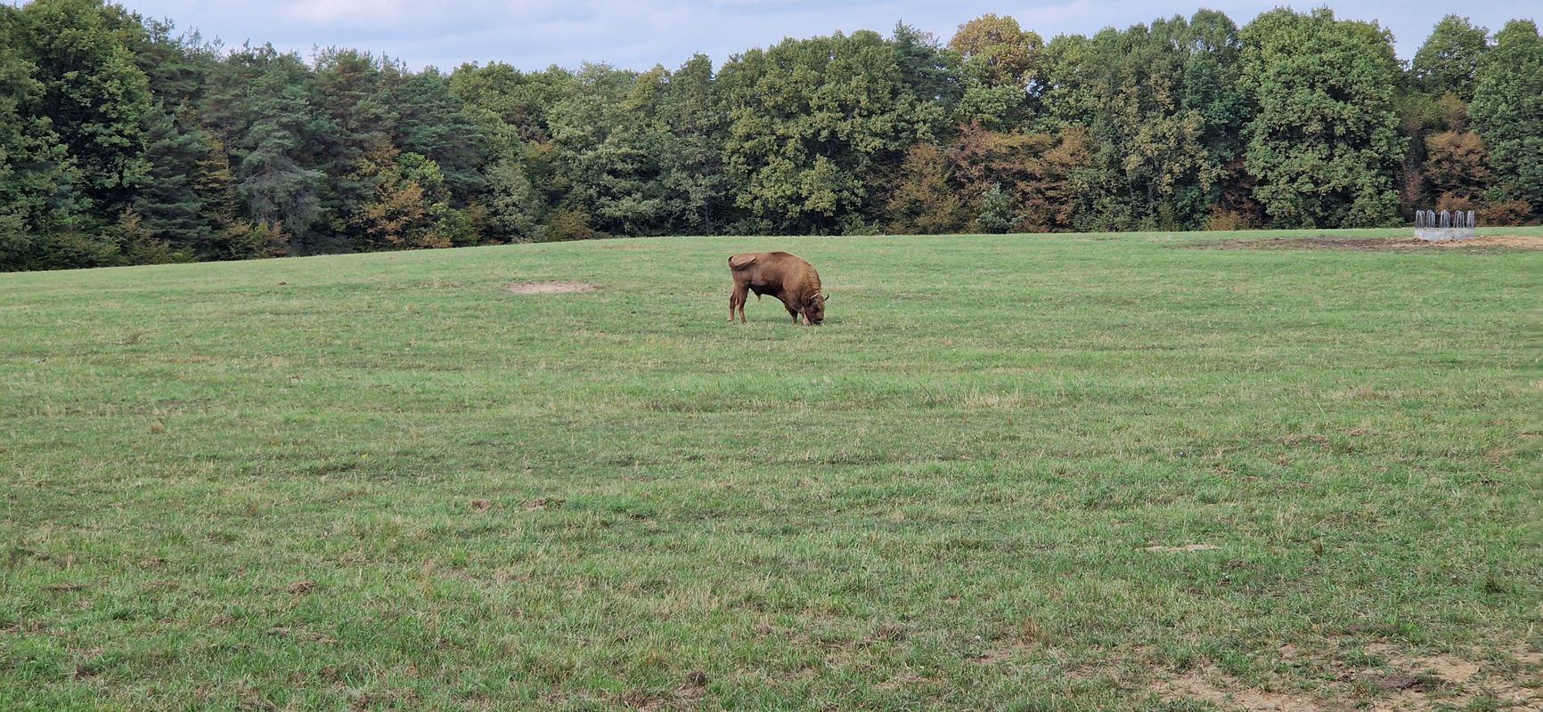 Šalovci to Városszer