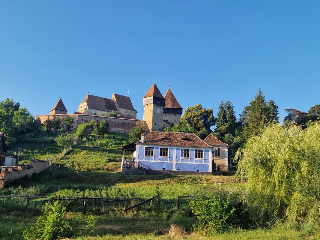 Alma Vii - Motiș - Valea Viilor