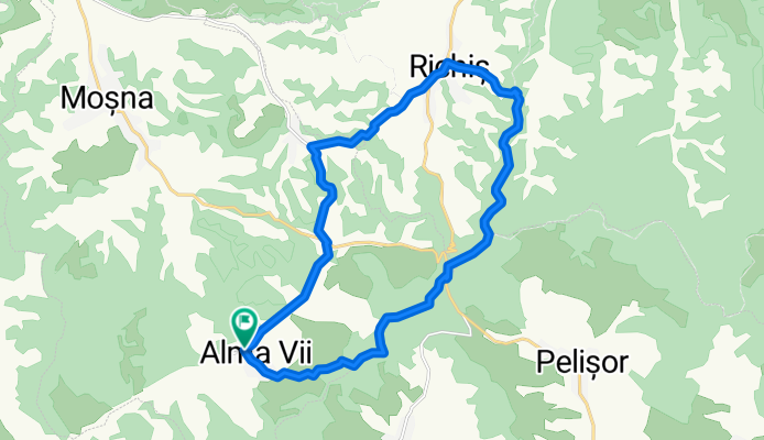 Alma Vii - Nemșa - Richiș - Alma Vii