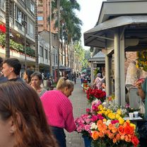 Carrera 51, Medellín a Calle 47, Medellín