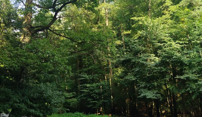 Photo 2 of the Bikemap route "Drobného do Drobného"