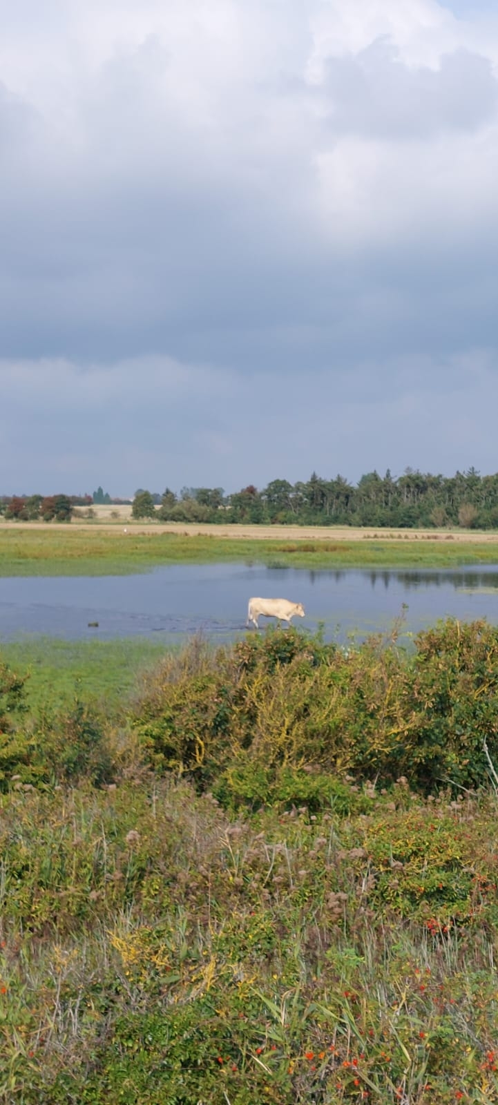 Schöner Radweg am Meer entlang