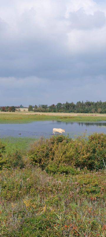 Schöner Radweg am Meer entlang