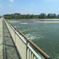 Mezzalfenga a Sannazzaro de Burgondi