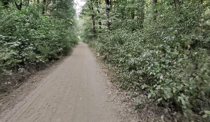 Foto 1 der Bikemap-Route "Voluntari to Strada Zimnicea, Voluntari"