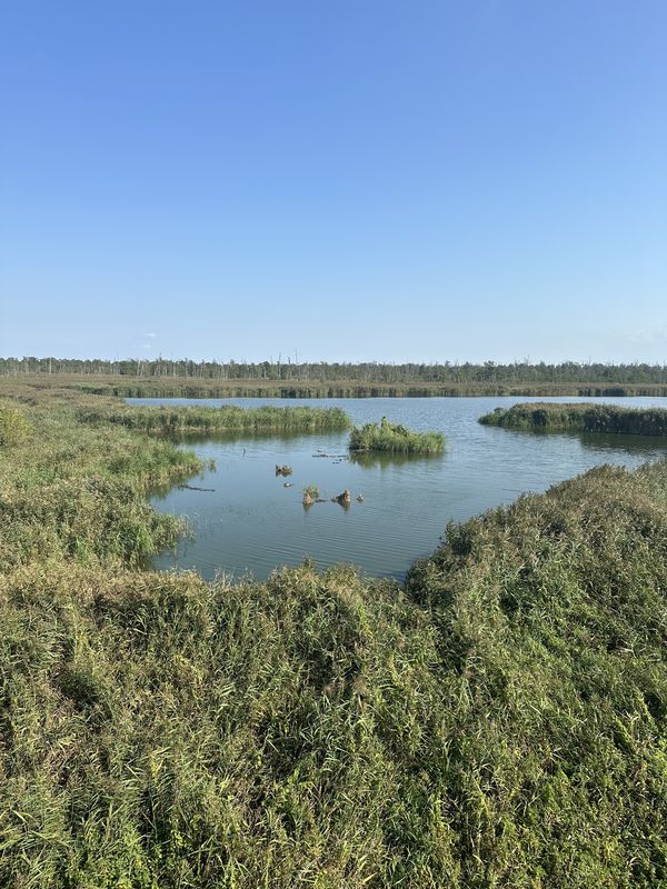 Warzymice, Kołbaskowo do Świnoujście