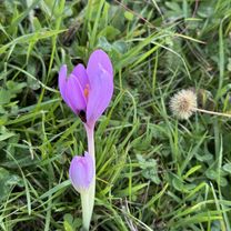 Photo 7 of the Bikemap route "Horňákova kopanica" Photo 7 of the Bikemap route "Horňákova kopanica"