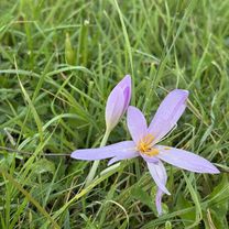 Photo 8 of the Bikemap route "Horňákova kopanica" Photo 8 of the Bikemap route "Horňákova kopanica"