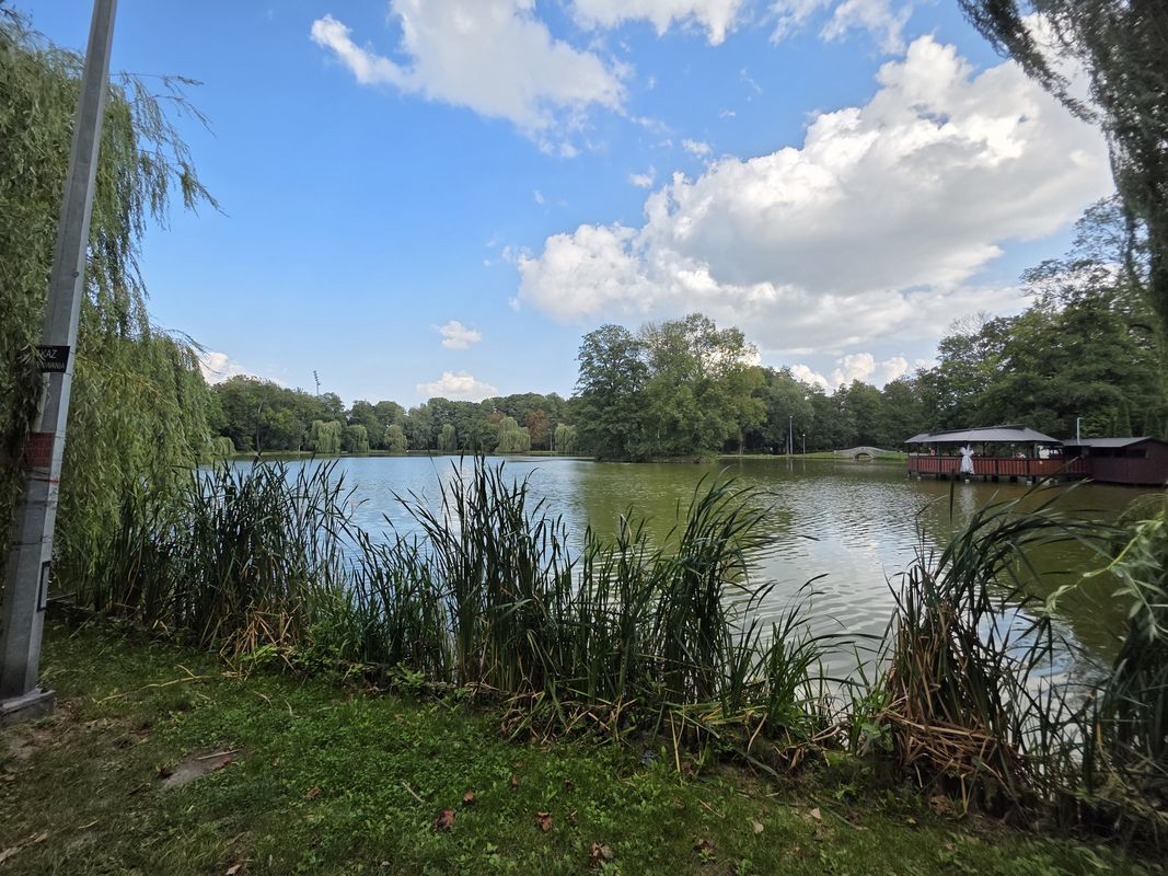 Henryka Sienkiewicza do Henryka Sienkiewicza