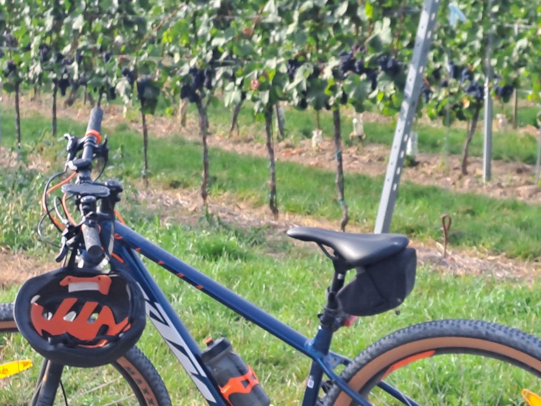 Ravazd utca - Ravazd utca