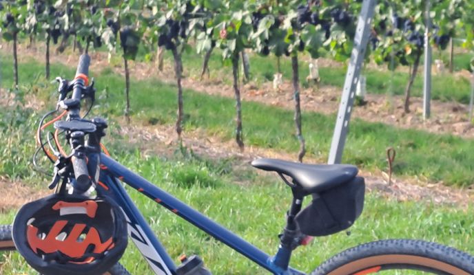 Foto 1 der Bikemap-Route "Ravazd utca - Ravazd utca" Foto 1 der Bikemap-Route "Ravazd utca - Ravazd utca"