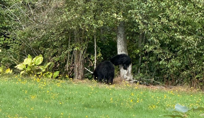 Photo 1 of the Bikemap route "Minnekhada Loop"