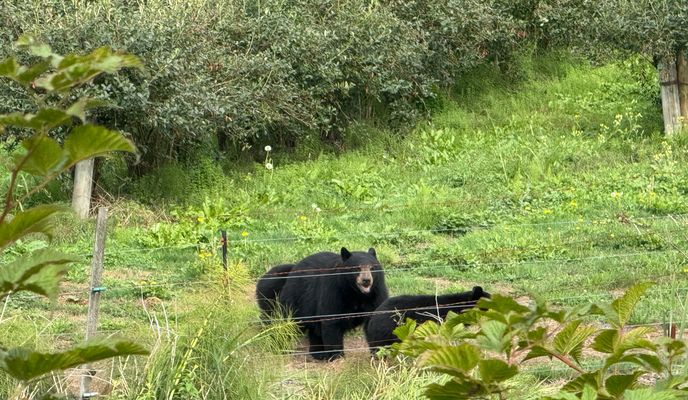 Photo 2 of the Bikemap route "Minnekhada Loop"