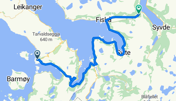 Selje - Fiskå