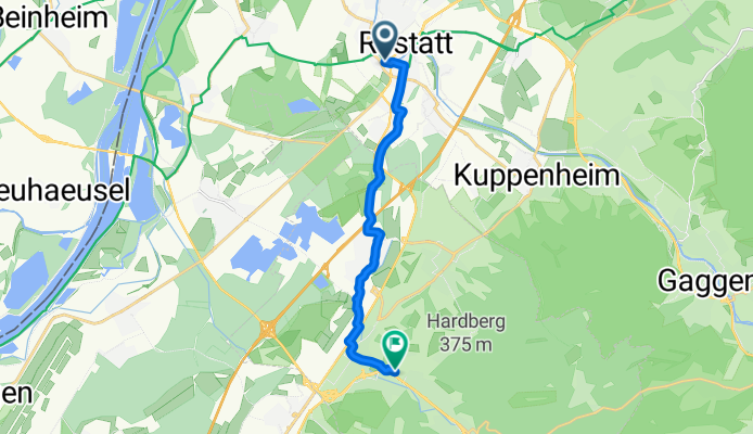 Ilan Schule kurz neu