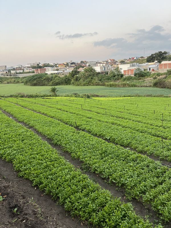 Avenida Ciro Dias, Remígio a Rua Elidia Dias Barros, Remígio