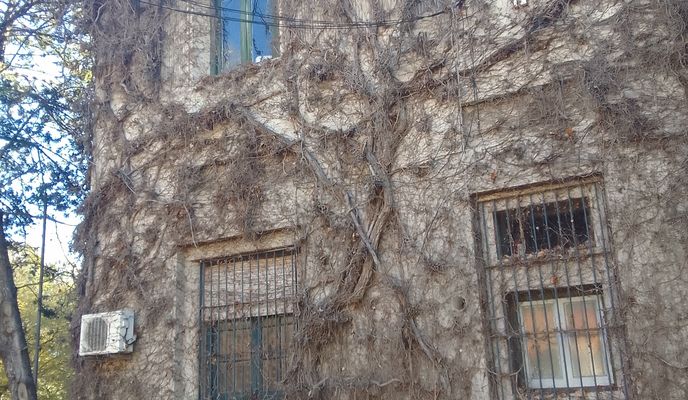 Foto 2 der Bikemap-Route "prado, zoológico, pocitos, centro" Foto 2 der Bikemap-Route "prado, zoológico, pocitos, centro"