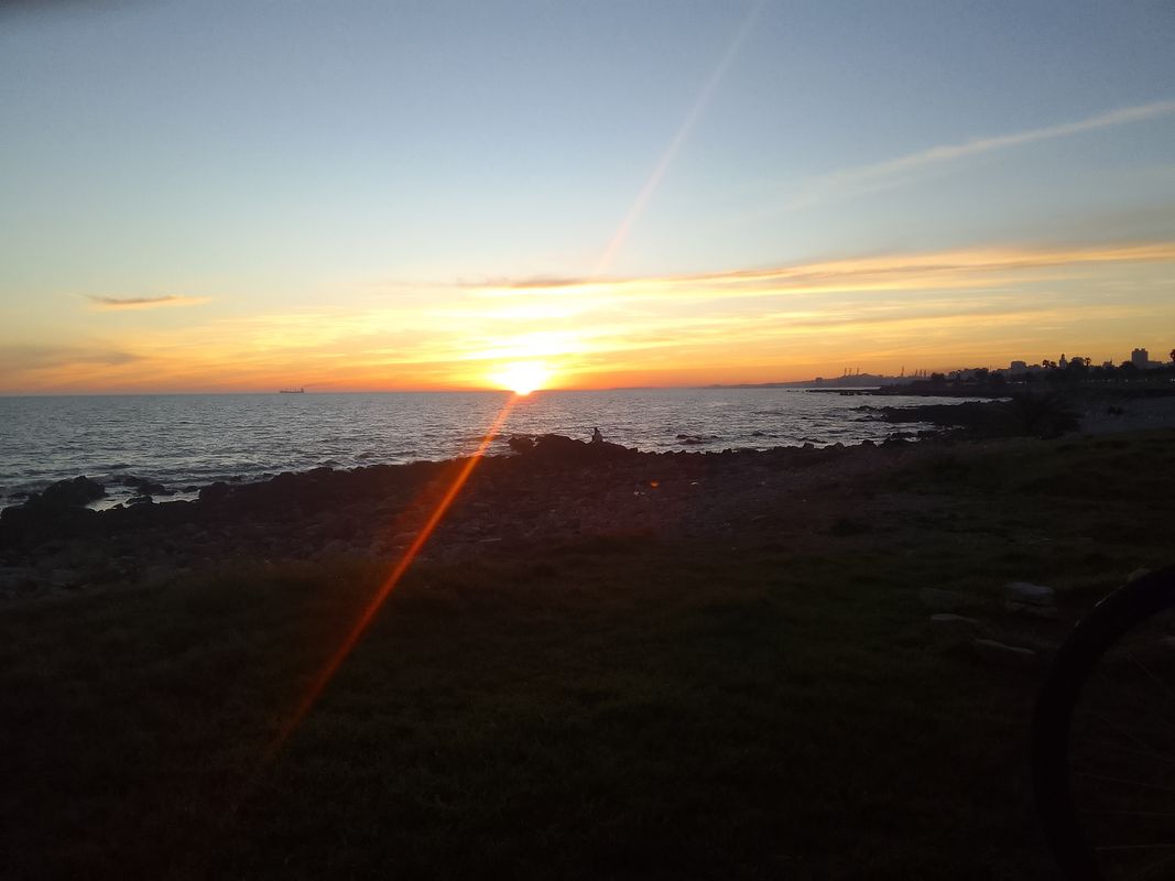 prado, zoológico, pocitos, centro