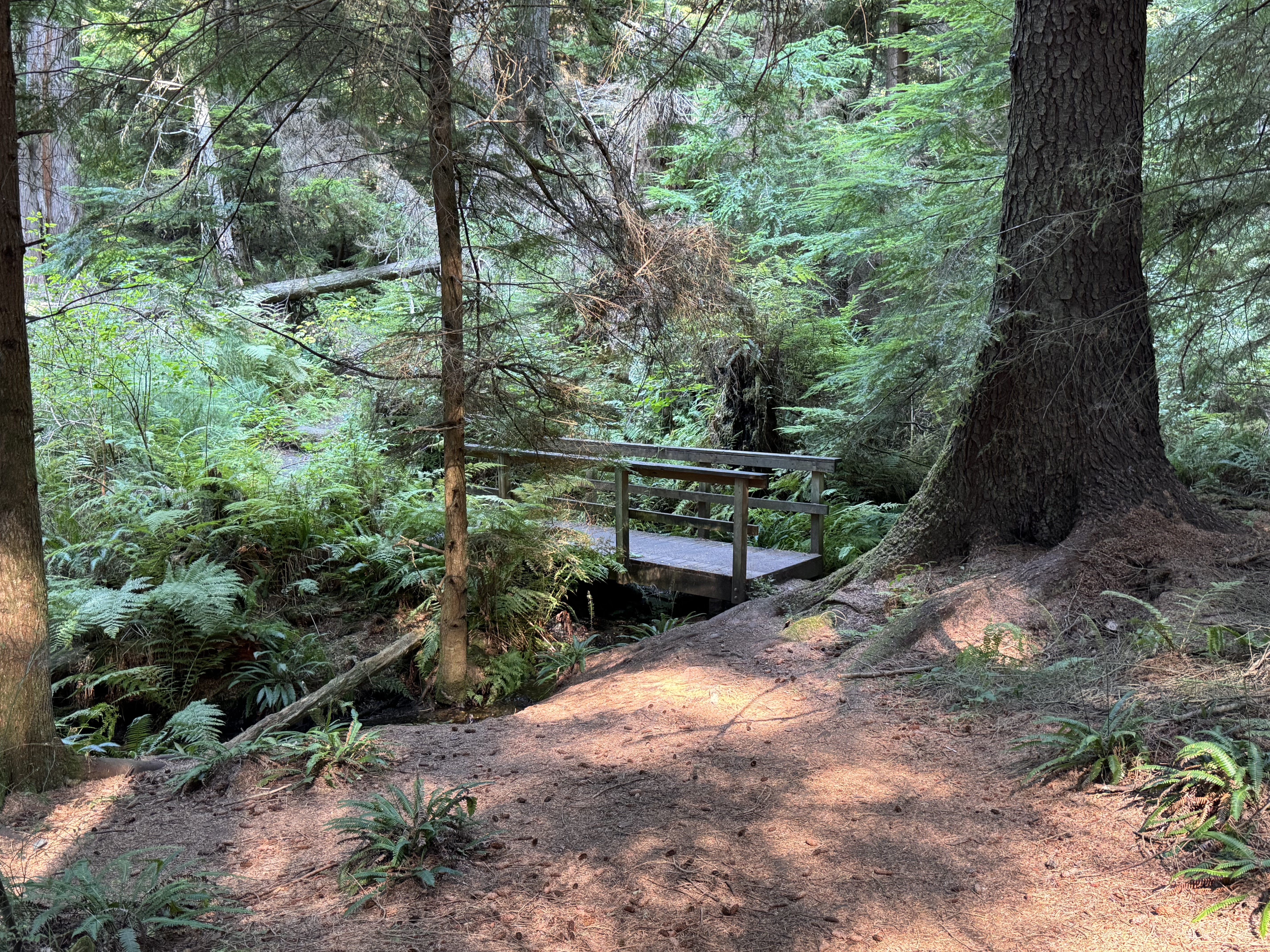 South Whidbey State Park Campground - HIKING