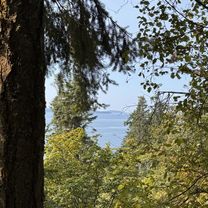 Photo 7 of the Bikemap route "South Whidbey State Park Campground - HIKING"