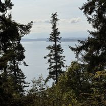 Photo 8 of the Bikemap route "South Whidbey State Park Campground - HIKING"