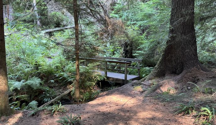 Photo 2 of the Bikemap route "South Whidbey State Park Campground - HIKING"