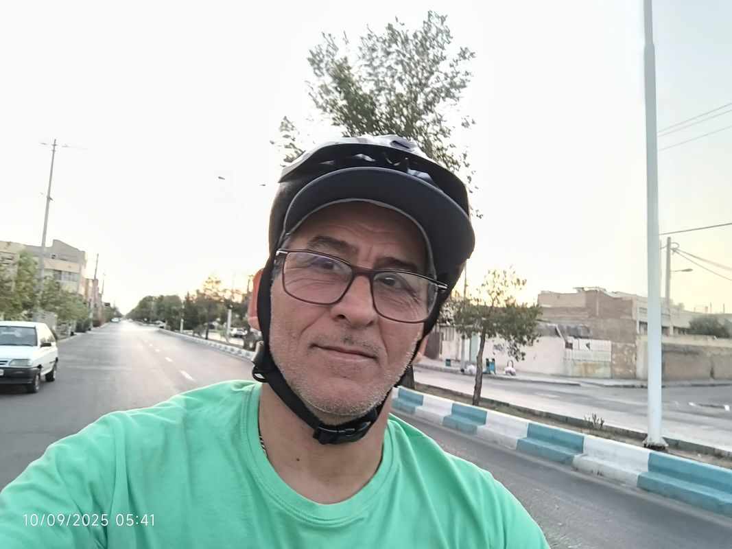 نخل 🌴 تنها