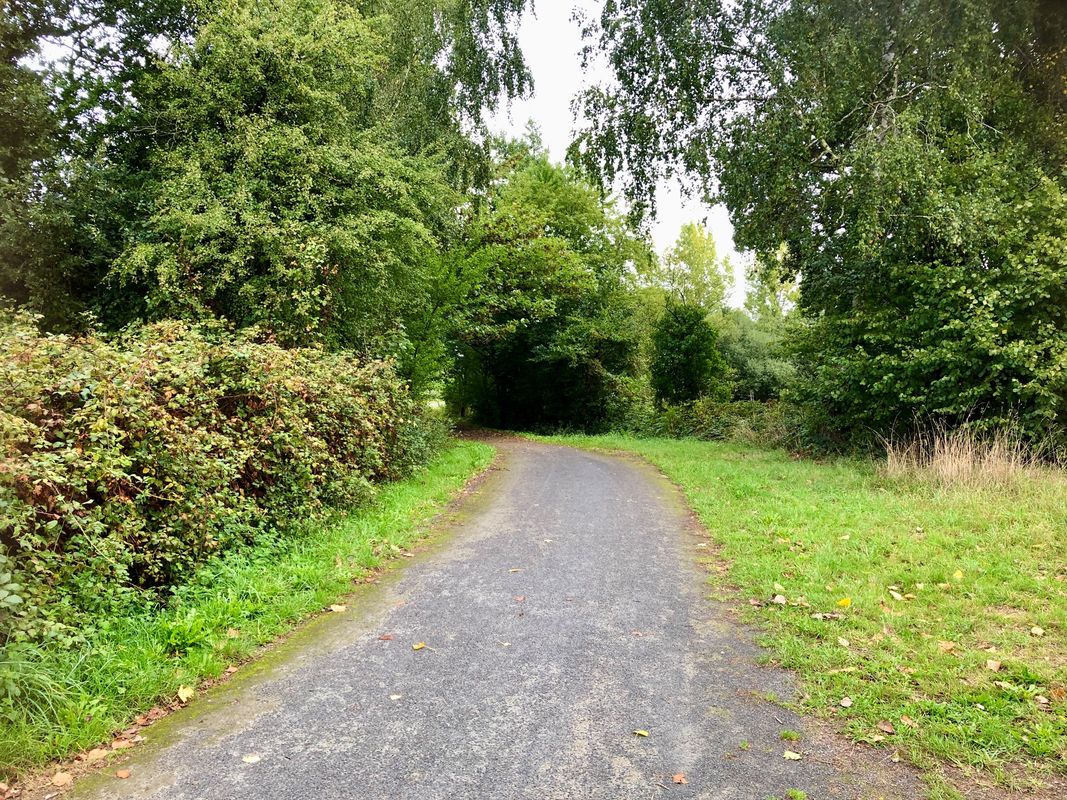 Mortain-Bocage (Junction) - Le Neufbourg
