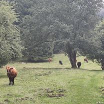 Bözingerbergschlaufe+