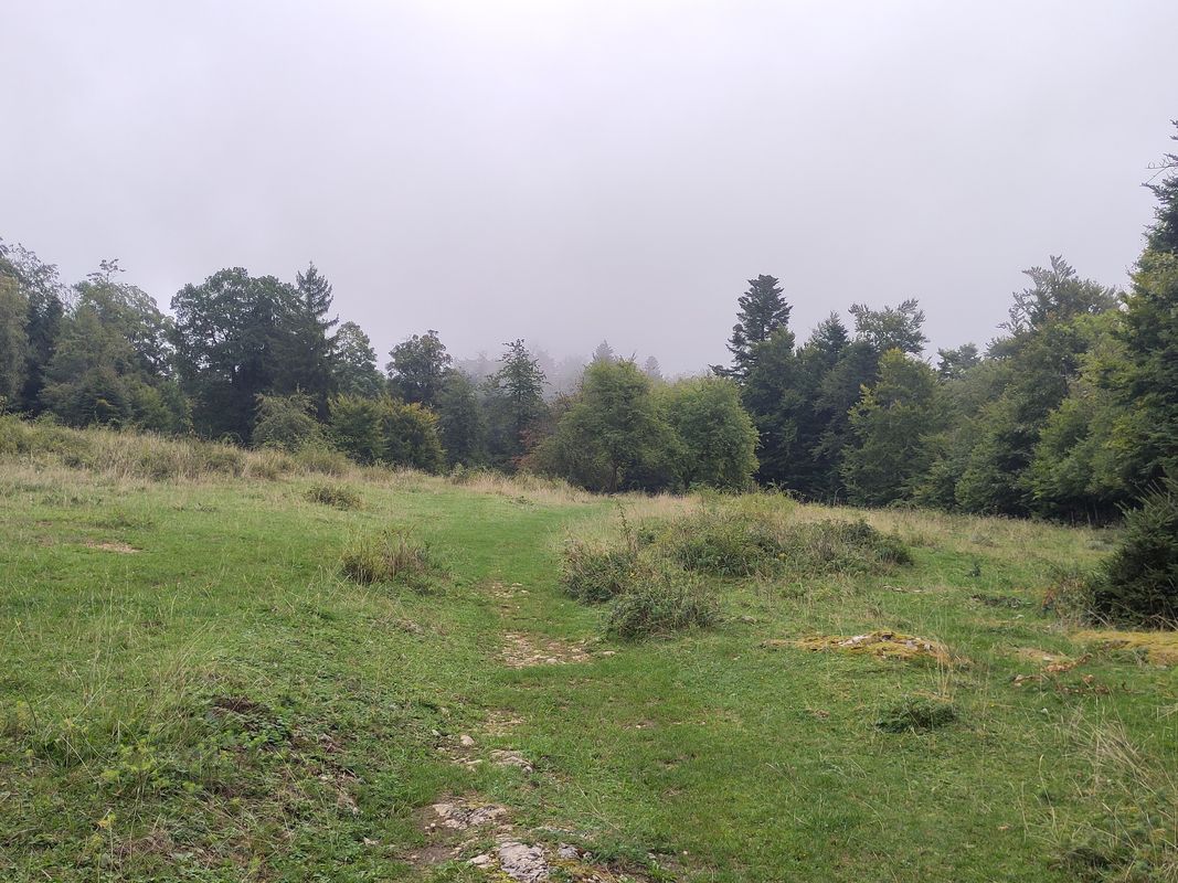 Bözingerbergschlaufe+