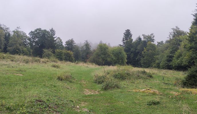 Photo 2 de l’itinéraire Bikemap « Bözingerbergschlaufe+ »