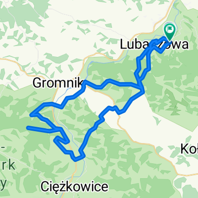 Lubaszowa do Lubaszowa