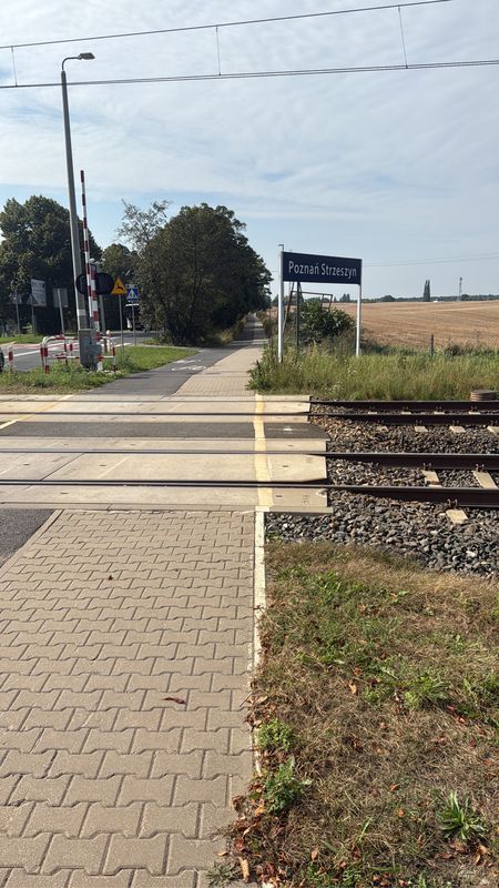 Wiśniowa, Trzek do Wiśniowa, Trzek