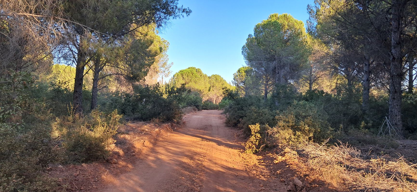 Villalar Caddesi to Villalar Caddesi