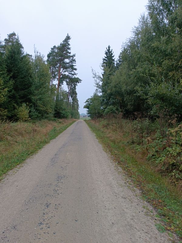 Staatza Laufrunde