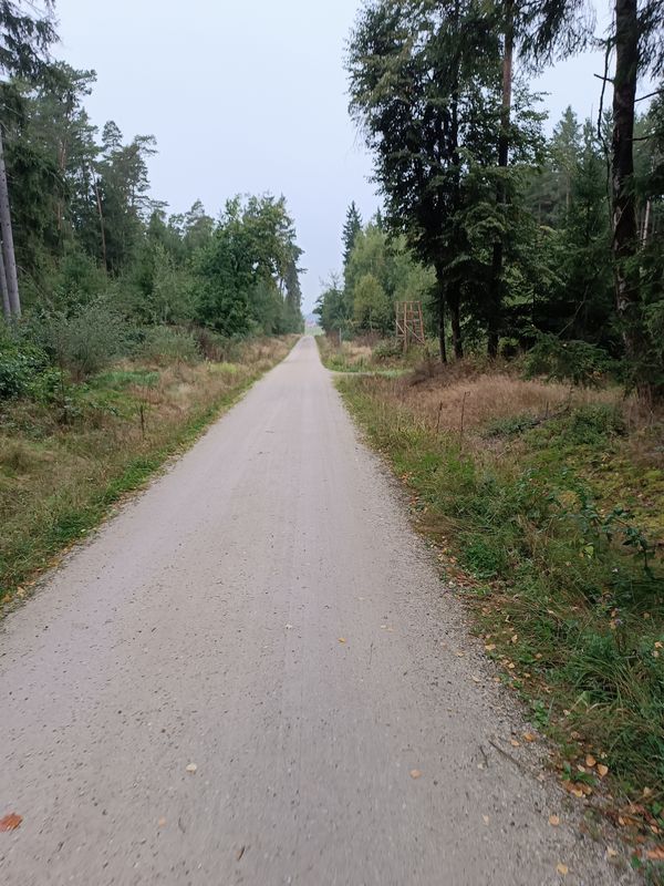 Staatza Laufrunde