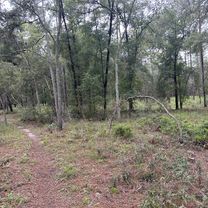 Withlacoochee State Trail, Brooksville to Croom Rital Rd, Brooksville