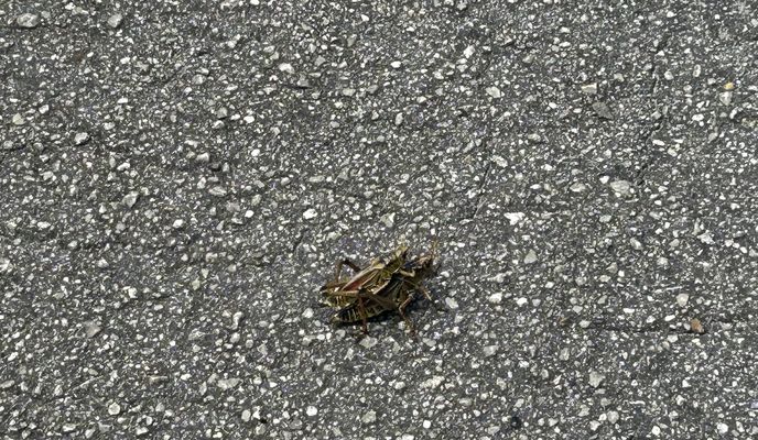 Foto 1 de la ruta de Bikemap "Lake Lindsey Rd, Brooksville to Withlacoochee State Trail, Brooksville"