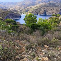 17 Roses Far Lledó Montjoi Cap-Norfeu Canadell Pas-del-Llop Puig-Alt Les-Gates-Oest Fràgam