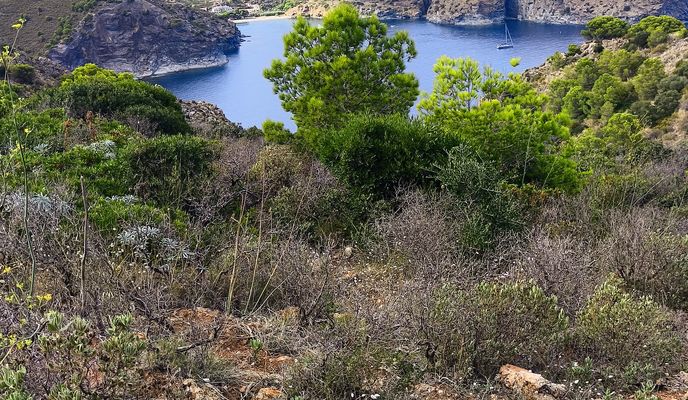 Photo 1 de l’itinéraire Bikemap « 17 Roses Far Lledó Montjoi Cap-Norfeu Canadell Pas-del-Llop Puig-Alt Les-Gates-Oest Fràgam »